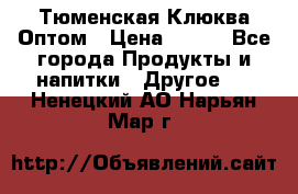 Тюменская Клюква Оптом › Цена ­ 200 - Все города Продукты и напитки » Другое   . Ненецкий АО,Нарьян-Мар г.